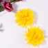 30pcs Baby Girls Alligator Hair Clips Chiffon Flower Hair Barrettes Accessories for Kids Toddler Teens...