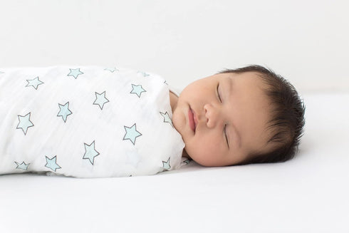 SwaddleDesigns Marquisette Receiving Swaddle Blanket for Baby Boys & Girls, Soft Premium Cotton Muslin, Best Shower Gift, Pastel Blue Little Doggi...