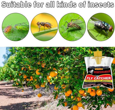 6 Pack Fly Traps Outdoor, Fly Bags Outdoor Disposable, Fly Hunter Ranch Fly Trap, Fly Catcher Outdoor, Fly Traps Outdoor Hanging for Barns, Ranch,...