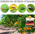 6 Pack Fly Traps Outdoor, Fly Bags Outdoor Disposable, Fly Hunter Ranch Fly Trap, Fly Catcher Outdoor, Fly Traps Outdoor Hanging for Barns, Ranch,...