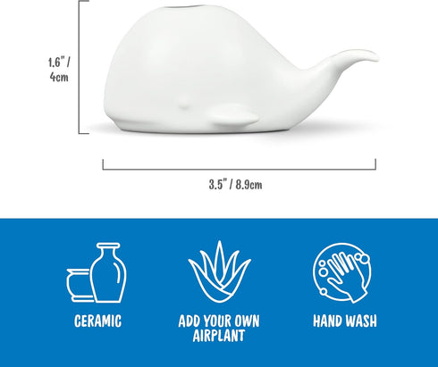 Fred 5229116 Fancy Ceramic Mini Air Plant/Succulent Holder, regular, Whale...