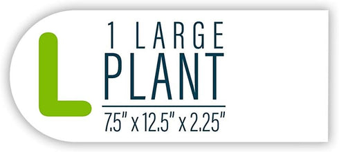 GloFish Mangrove Green Tree Plant Fluorescent Under Blue LED Light Aquarium Decor...