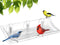 Clear Bird Bath Bird Feeder for Outside Window Glass, Transparent Birdbath with Strong Suction Cups for Viewing, bird watching gifts for Elderly P...