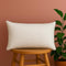 Trendy Home 12x18 Throw Pillow Insert, Cushion Sham Stuffer Hypoallergenic, Lumbar Support Decorative Home Outdoor Couch Bed Pillow Filler (Non Wo...