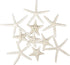Jangostor 12 PCS Starfish 2-6 Inch Mixed Starfish Natural Seashells Starfish Star Fish Shells Decorations Perfect for Wedding Decor Beach Theme Pa...