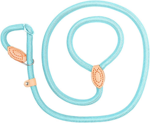 Dog Leash Slip Lead and Snap Hook Leash, Adjustable Heavy Duty 2/5" x 6 FT Braided Rope Durable No Pull Pet Strong Training Traffic Walking Lead L...