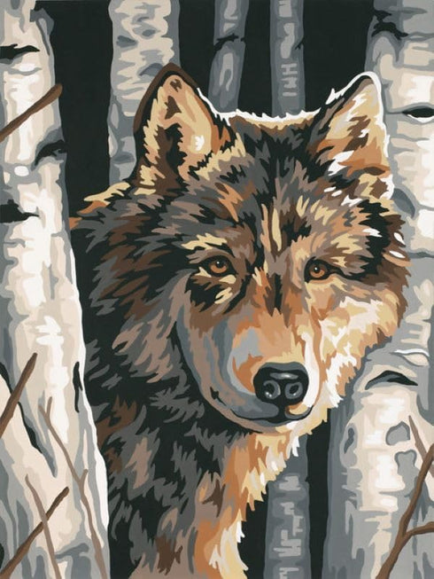 Dimensions Paint by Number, Wolf Among Birches...