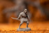 Dark Souls The Role Playing Game: Unkindled Heroes Pack 2 Miniatures & Stat Cards...