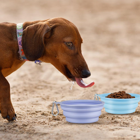 Kytely Collapsible Dog Bowls Medium (650ml), 2 Pack Travel Dog Bowls for Dog Cat, Portable Dog Water Food Bowl with Clasp, Pet Cat Feeding Cup Dis...