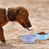 Kytely Collapsible Dog Bowls Medium (650ml), 2 Pack Travel Dog Bowls for Dog Cat, Portable Dog Water Food Bowl with Clasp, Pet Cat Feeding Cup Dis...