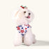 CuteBone 4th of July Dog Shirts 2-Pack Soft Pet Clothes Breathable Summer Vest for Small Puppy and Stretchy Cat Apparel 2BX13XL...