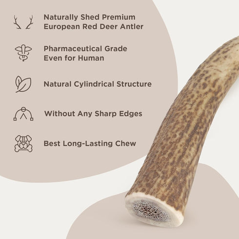 Premium Red Deer Antler Dog Chew, 4-8 inch Naturally Shed Antlers for Dogs, Aggressive Chewers & Puppies, No Messy No Oder Healthy Treat! - 1 Coun...