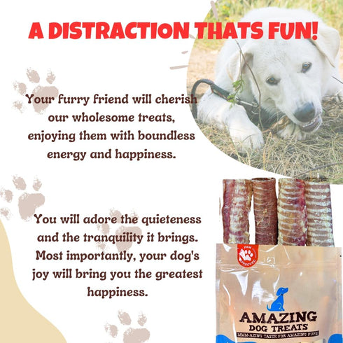 Amazing Dog Treats - 6 Inch Beef Trachea Dog Chews (5 pcs - 8 oz) - Trachea Dog Treats - NO Hide - Digestible and Safe Chews for Dogs - Glucosamin...