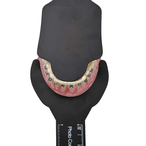 6 Sizes Dental Oral Image Contraster Palatal Photographic Black Background Board...
