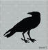 Stencil1 Raven Stencil - Durable Quality Reusable Mylar Stencils - Great for Halloween & Pumpkin Decorating Art Craft - 5.75" x 6"...