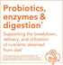 Now Foods Peppermint Gels with Ginger & Fennel Oils, 90 Softgels (Pack of 2)...