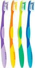 Pro-Clean Toothbrush with Small Head for Better Reach (Family Care - Medium Bristles) Individually Wrapped - 4 Colors - 4 Count (Pack of 1)...