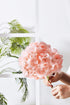 Artificial Hydrangea Flowers Blush Heads 10 Fake Hydrangea Silk Flowers for Wedding Centerpieces Bouquets DIY Floral Decor Home Decoration with St...