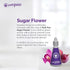 All Natural Toilet Odor Drops Eliminator Deodorizer Odor Blocker Liquid Blocker Air Freshener - Travel Dropper personal Bottle (Sugar Flower Teen)...