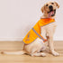 Reflective Dog Vest,High Visibility Orange Dog Vest,Dog Safety Vest for Walking, Jogging or Training L...