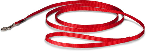 PetSafe Nylon Dog Leash – Strong, Durable, Traditional Style Leash with Easy to Use Bolt Snap for Small, Medium and Large Dogs – 3/8" x 6', Red...