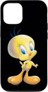 iPhone 12/12 Pro Looney Tunes Tweety Bird Airbrushed Case...
