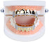 TOPGRILLZ 14K Gold Plated Iced Out CZ Top and Bottom Vampire Fangs Werewolf Grillz for Your Teeth Hip Hop Halloween Accessory...