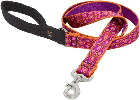 LupinePet Originals 1" Alpen Glow 4-foot Padded Handle Leash for Medium and Larger Dogs...