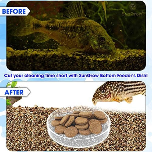 SunGrow Glass Bottom Feeder, Hermit Crab & Gecko Feeder Dish, Borosilicate Glass, Circular Dish for Catfish, Cory, Pleco and Bottom Dwellers, 1 pc...