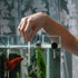Aquarium Ammonia Test Kit, 50 Counts Ammonia Test Strips Fish Tank Aquarium Test Strips for Aquarium Pond Pool...