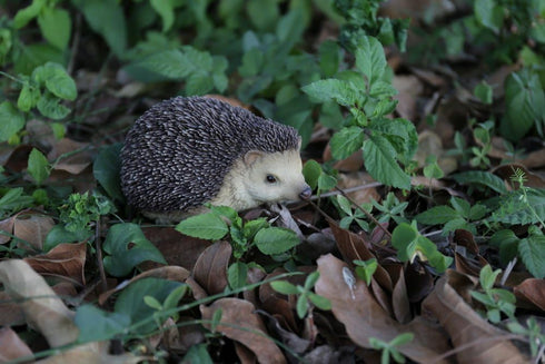 Hi-Line Gift Ltd Sitting Hedgehog Statue...