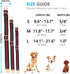 Premium Dog Collar, Cute Dog Collars Luxury Style, Durable Pet Collars with Metal Buckle Safety for Big Dogs...