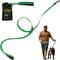 Heavy Duty Dog Leash for Small to Large Dogs - 6 ft Long with Comfortable Padded Larger Double Handles for Training, Walking, Running. Reflective ...