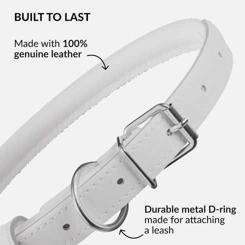 CollarDirect Rolled Leather Dog Collar, Soft Padded Round Puppy Collar, Handmade Genuine Leather Collar Dog Small Large Cat Collars 13 Colors (18-...
