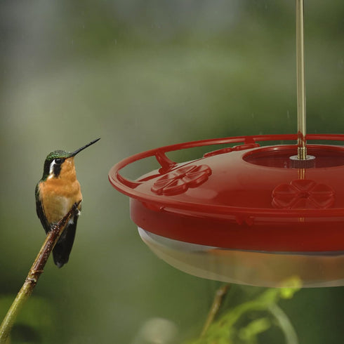 Hummingbirds Feeders for Outdoors Hanging – Bird Feeder with 5 Feeding Ports – Heavy Duty Plastic Humming Bird Feeder with Alloy Steel Hanging Rod...