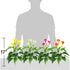 Artificial Flower 17 inches Calla Lily Silk Plant Fake Bonsai Flowers Greenery Plants for Indoor Outdoor Home Office Bedroom Table Centerpieces Pa...