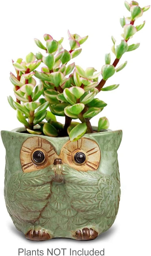Dahlia 4" Speak No Evil Owl Handmade Ceramic Succulent Planter/Plant Pot/Flower Pot, Green...