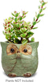 Dahlia 4" Speak No Evil Owl Handmade Ceramic Succulent Planter/Plant Pot/Flower Pot, Green...