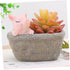 Yardwe 1pc Ceramic Planter Plant Pots Ceramic Cactus Planter Resin Planter Unique Pot Resin Pot Decorative Airplant Pot Cactus Pot Mini Container ...