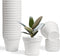 T4U 4 Inch Plant Pots 18-Pack - Small Plastic Planter with Drainage Hole and Saucer, Decorative Nursery Flower Pot Bulk for African Violet, Snake ...