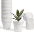 T4U 4 Inch Plant Pots 18-Pack - Small Plastic Planter with Drainage Hole and Saucer, Decorative Nursery Flower Pot Bulk for African Violet, Snake ...