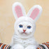 5 Pcs Cat Hat Adorable Costume Bunny Hat with Ears Funny Mane Cat Hat for Cats and Small Dogs Kitten Puppy Party Costume Accessory Headwear (Rabbi...