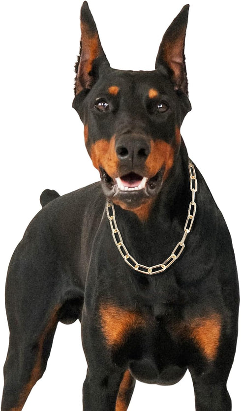 Gold Dog Chain Collar,Heavy Duty Chew Proof Stainless Steel Long Link Fur Saver Dog Training Collar | No-Pull Slip Chain for Small Medium Dogs for...