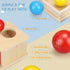TOY Life Object Permanence Box with Tray and 3 Balls Montesorri Toys 6-12 Months Ball Drop Toy Box Wooden Baby Montessori Toys for Babies 6 to 12 ...