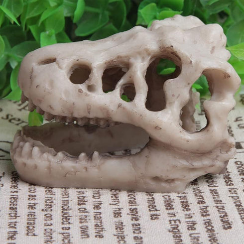 Opexicos 2Pcs 8.5 x 5.5 x 4.5 cm Resin Dinosaur Skull Aquarium Decoration Terrarium Reptile Fish Tank Ornament...