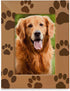 KATE POSH - Doggie Paw Engraved Natural Wood Picture Frame, Best Dog Ever, Memorial Dog Frame, Best Cat Ever, Memorial Cat Photo Frame (5x7-Vertic...