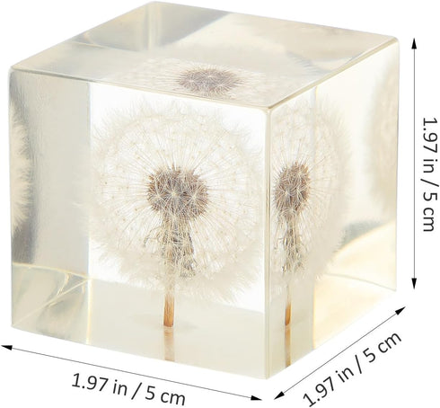 Glass Balls 3D Dandelion Crystal Glass Cube Transparent Desktop Statue Ornament for Birthday Wedding Valentine Home Decor(1.97 in)...