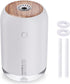 SmartDevil Portable Mini Humidifier, 500ml Small Desk Humidifier, USB Personal Desktop Humidifier for Bedroom, Office, Travel, Plants, Auto Shut-O...