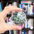 20 Pack Clear Plastic Fillable Ornament Ball,Sweetfamily DIY Christmas Decorations Tree Balls Baubles Craft Transparent Ball Gifts for Christmas,W...