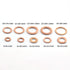 200pcs M5-M14 Professional Solid Copper Washers Assorted Kit Flat Ring Plumbing Seal Gasket for Screws Bolts Hardware Fitting Accessories...